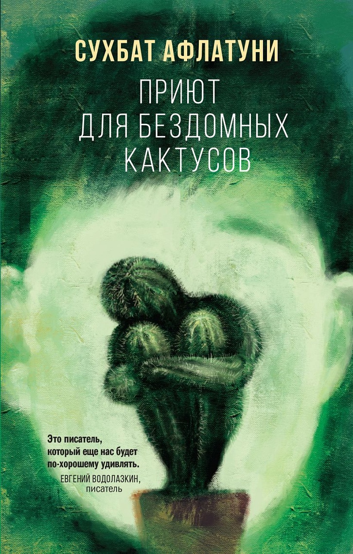 Приют для бездомных кактусов Приют для бездомных кактусов